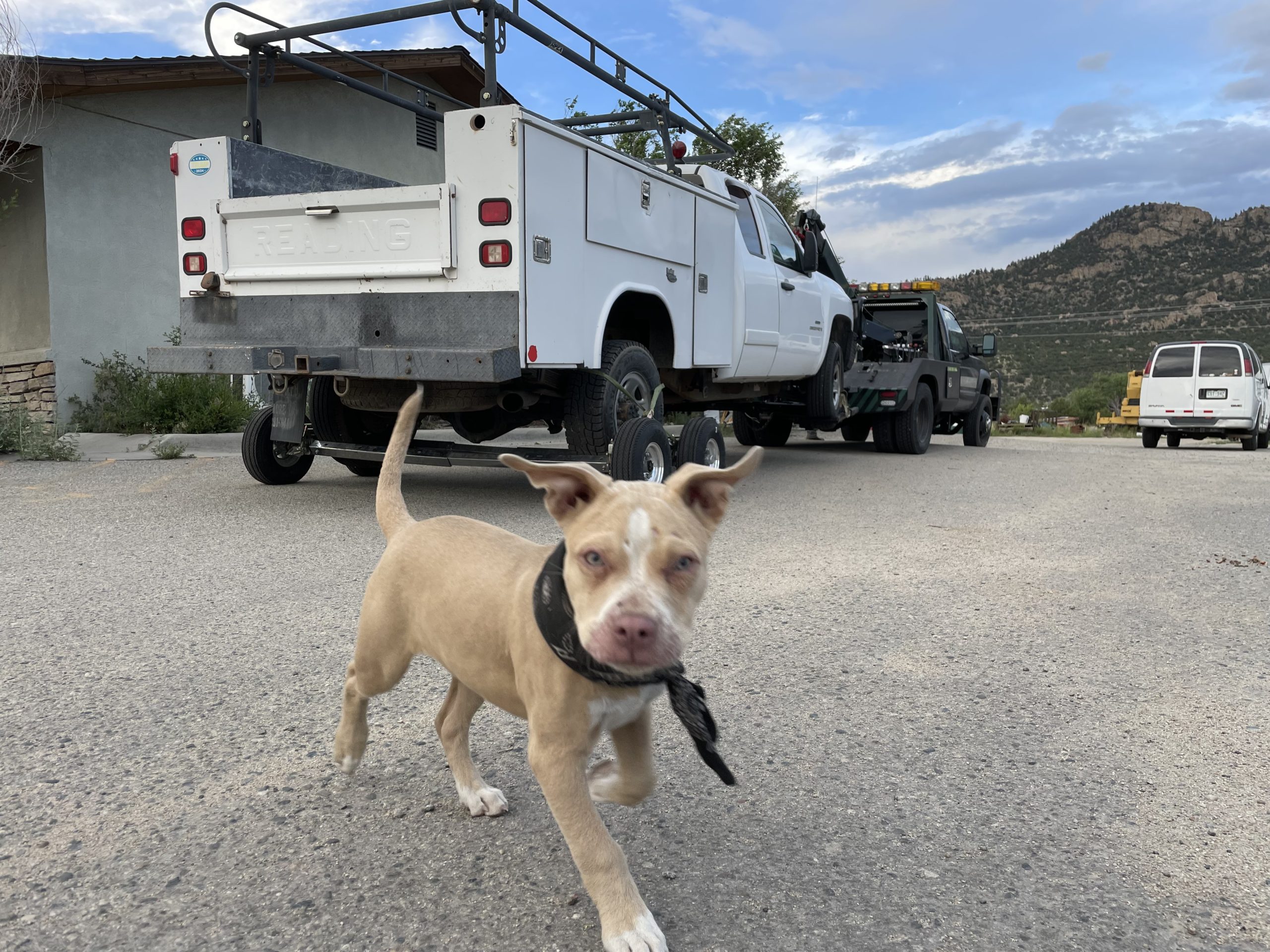 Rosies Old School Towing Client Provided (4)