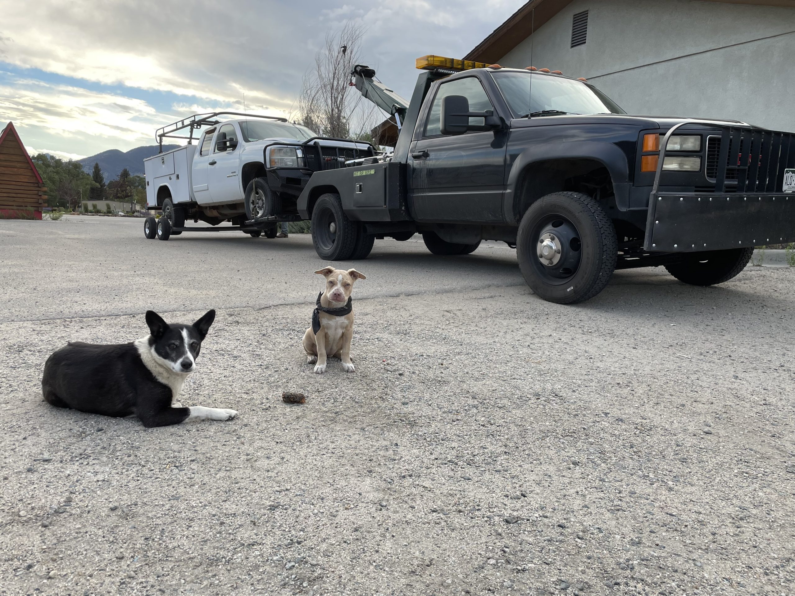 Rosies Old School Towing Client Provided (5)